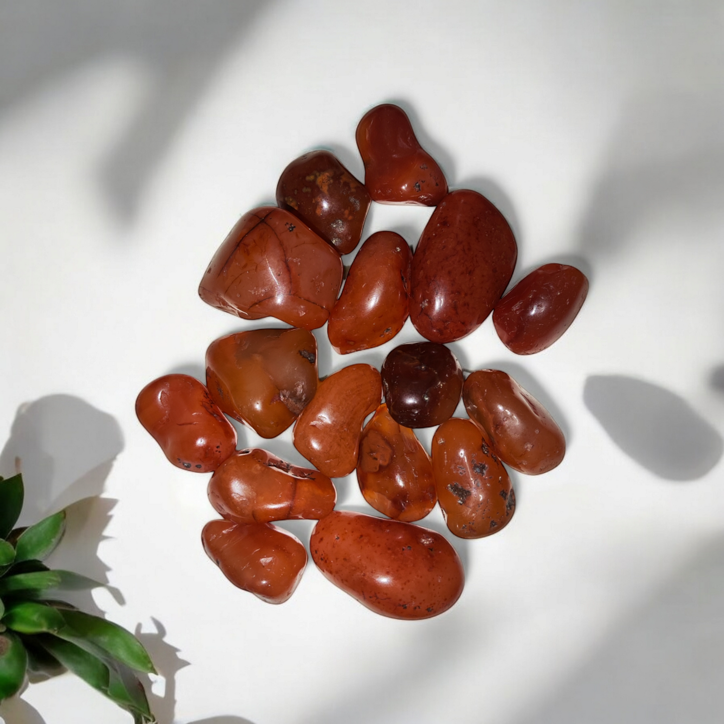 carneola en canto rodado piedra rojiza para energía vital y activación del deseo