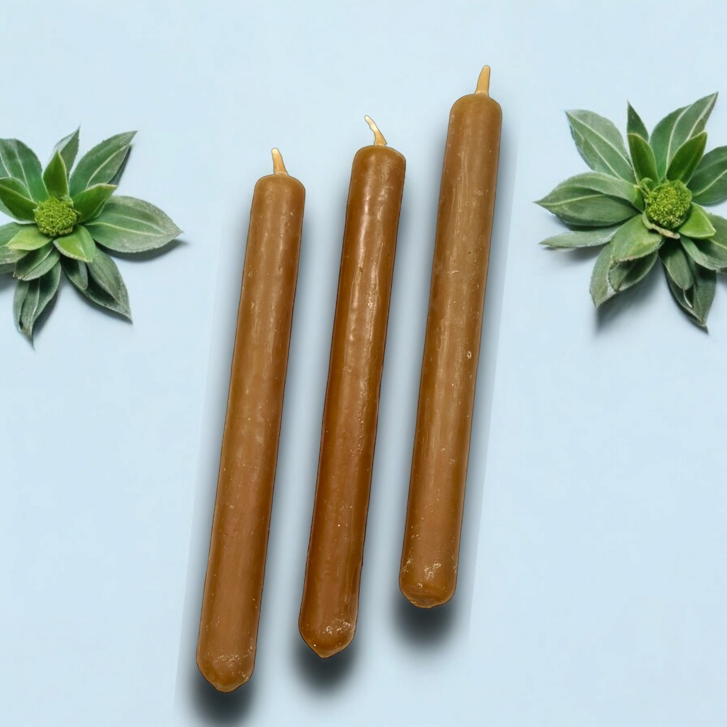 Vela de Miel y Ruda 20cm