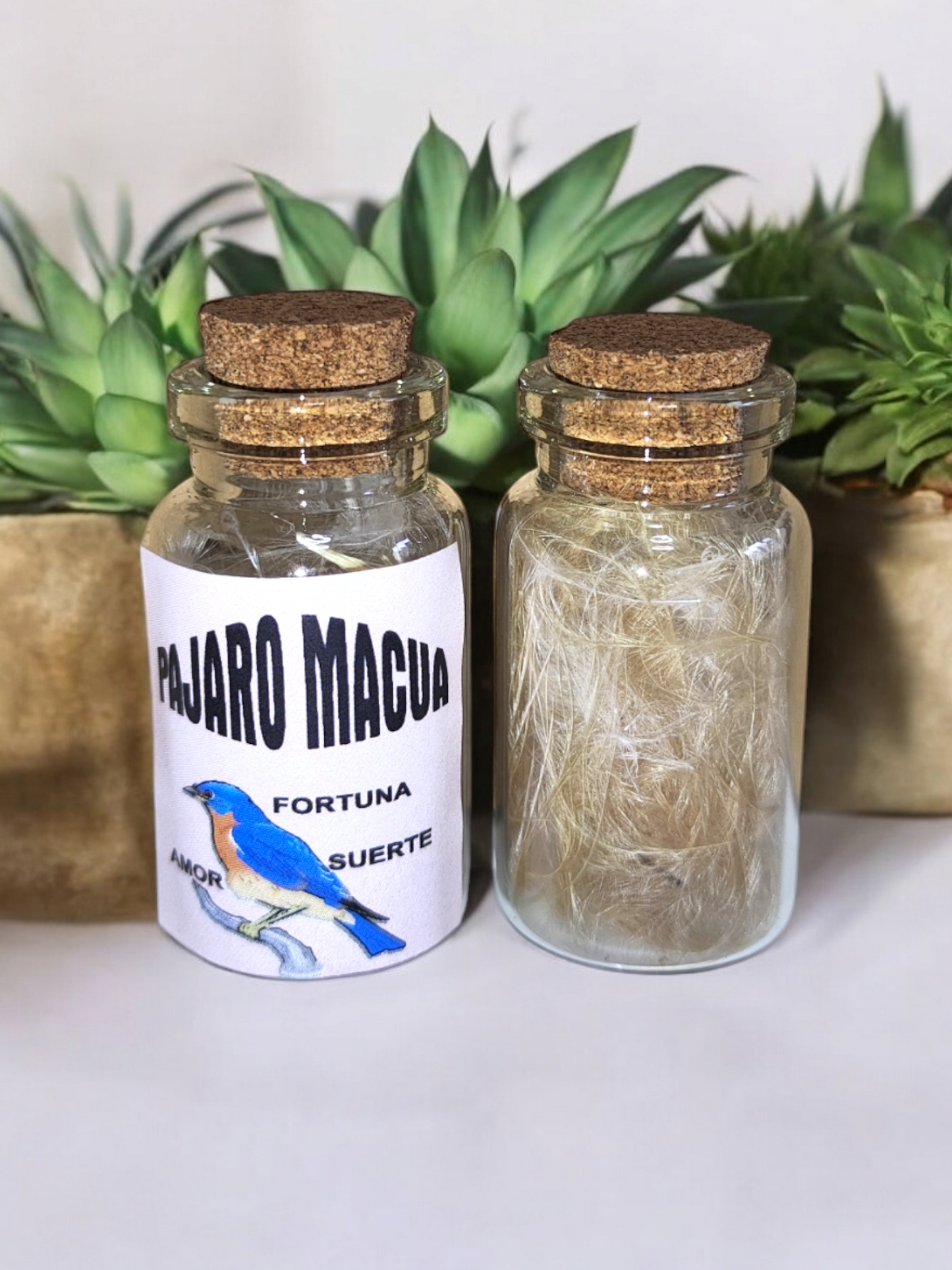 Plumas de Pájaro Macua