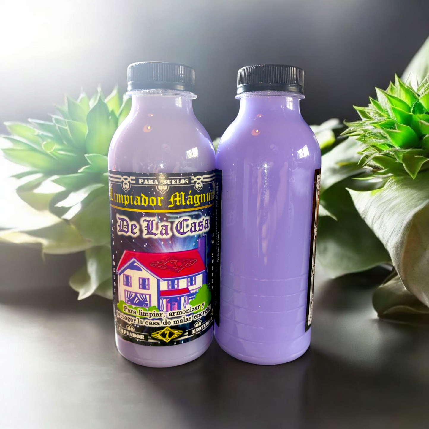 Fregasuelos Esotérico – De la Casa (500 ml)