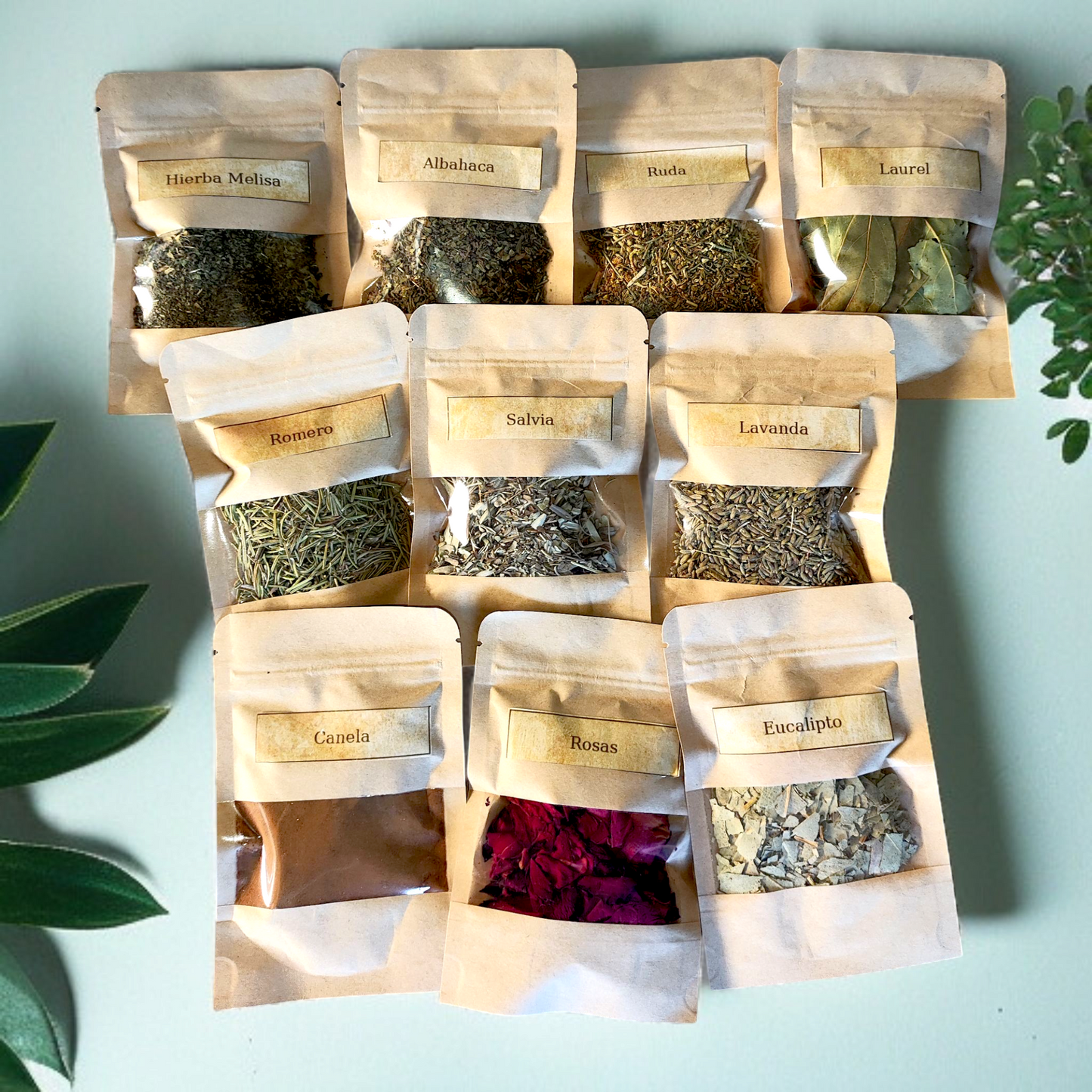 Pack Botica de Bruja Esencial con hierbas mágicas para rituales – Magic Moon