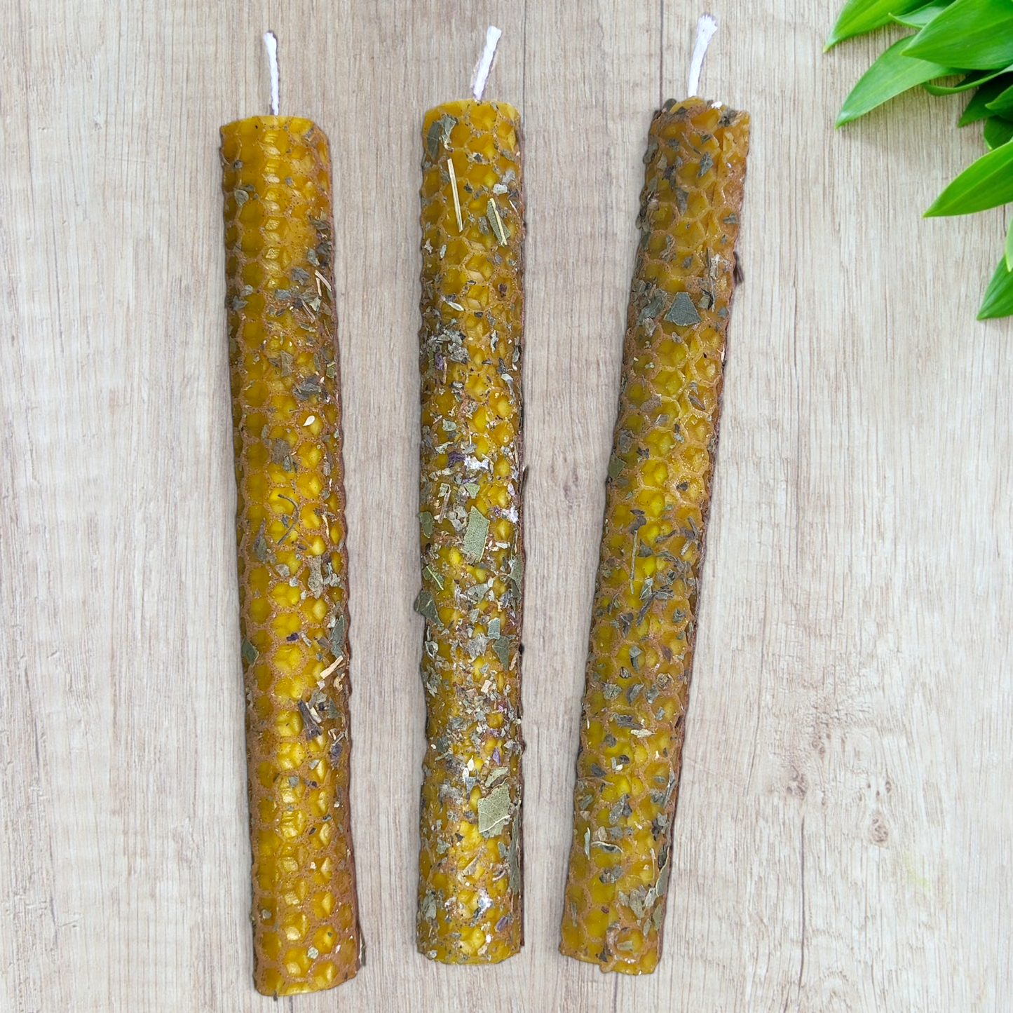 Vela Ritual de Cera de Abeja - Abundancia & Prosperidad