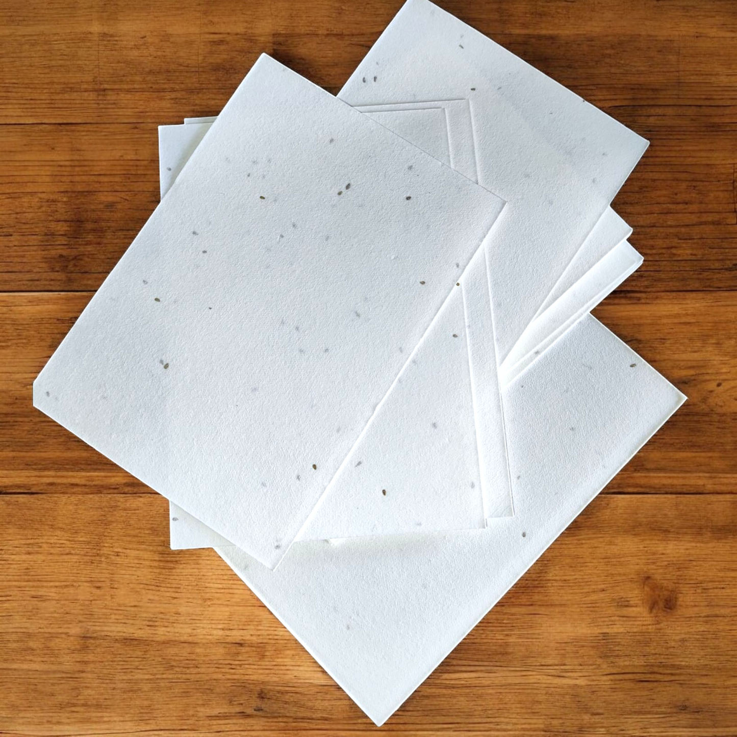 Papel Plantable - Manifestación