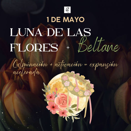 luna llena de las flores y beltane
