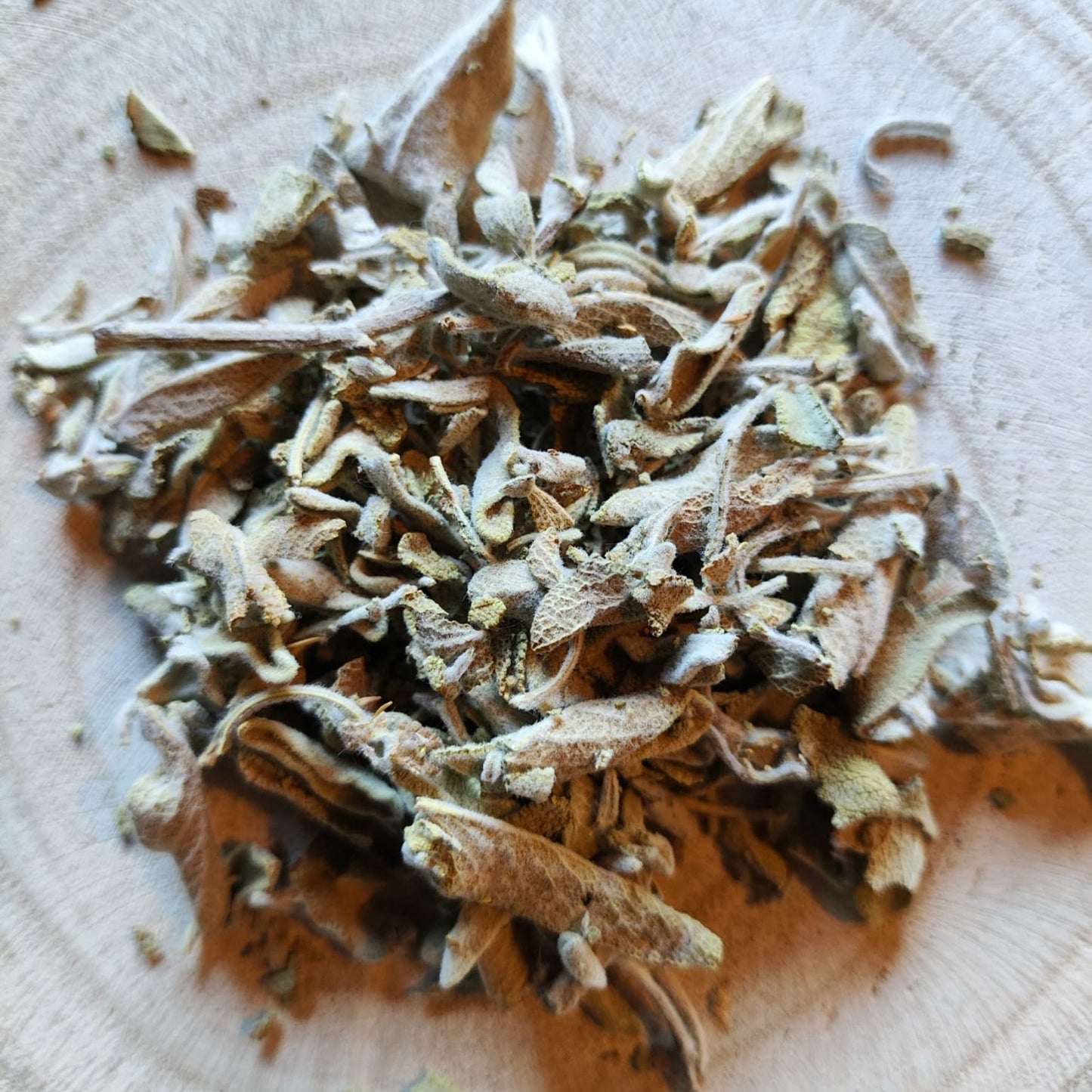 Hojas de Salvia